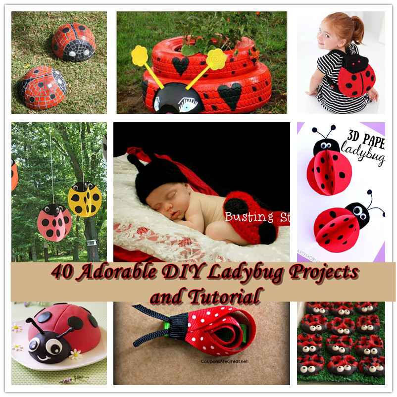 Adorable-diy-ladybug