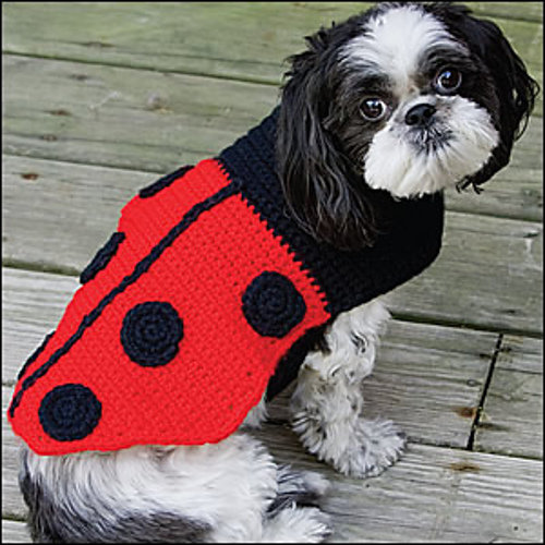 Crochet Ladybug Coat