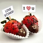 DIY STRAWBERRY LOVE ladybugs