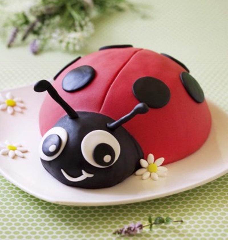 DIY ladybug cake
