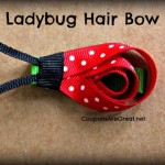 Ladybug-Hair-Bow-clip