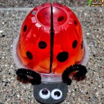 Ladybug Jello Fruit Cup-party idea