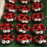 ladybug-pretzels-spring-party