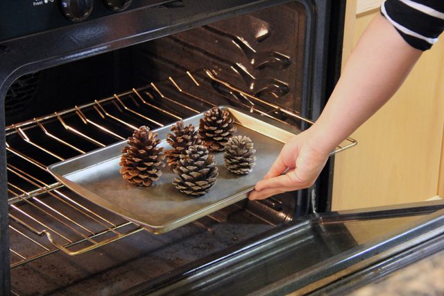 How to Make Cinnamon-Scented Pinecones