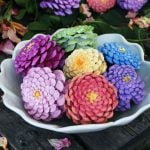 How to Make Gorgeous Zinnia Flowers from Pine Cones