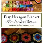 Easy Hexagon Blanket Free Crochet Pattern