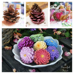 How to Make Zinnia Flowers from Pine Cones