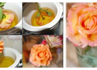 How to Preserve Fresh Flowers With Wax