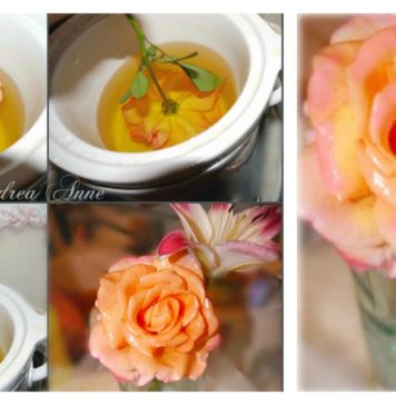 How to Preserve Fresh Flowers With Wax
