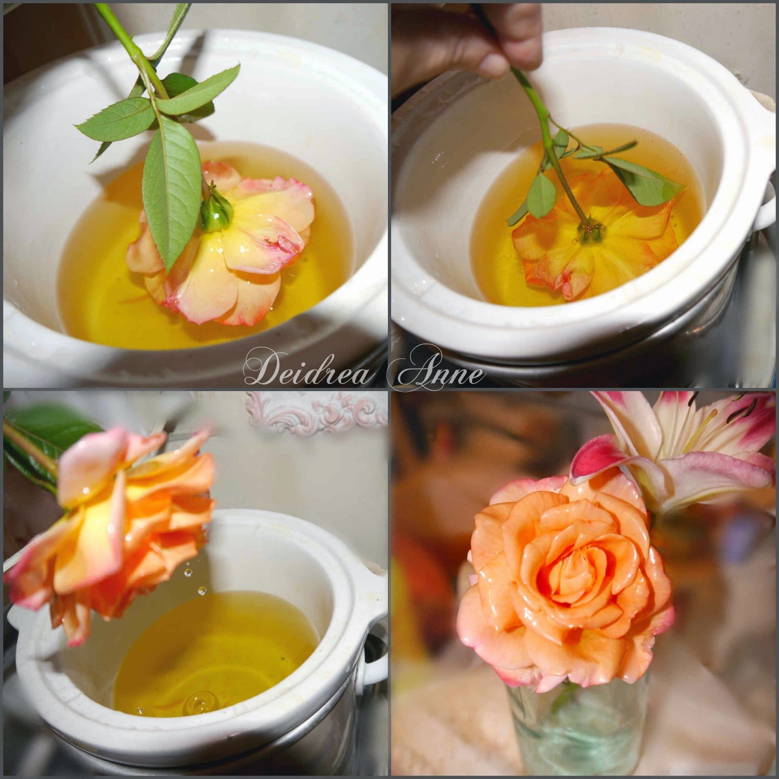 How to Preserve Fresh Flowers With Wax