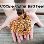 Things You Never Thought to Do With Christmas Cookie Cutters-DIY Cookie Cutter Bird Feeders