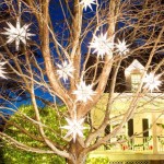 dress up trees with moravian stars