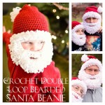 Double Loop Crochet Santa Beard with free Pattern