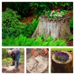 How To Make A Tree Stump Planter