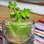 Regrow-celery