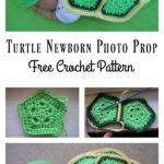 Turtle Newborn Photo Prop Free Crochet Pattern