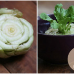 Vegetables Buy Once And Regrow Forever-Bok Choy