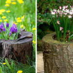 tree-stump-flower-garden-12__605