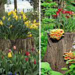 tree-stump-flower-garden-20__605