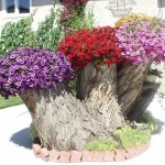 tree-stump-flower-garden-25__605