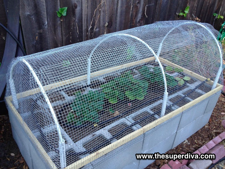 How to Build A Raised Bed Garden Out Of Cinder Blocks