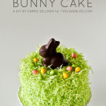 CHOCOLATE EASTER BUNNY CAKE