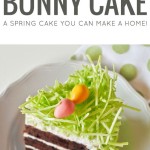 Chocolate Easter Bunny Cake 1