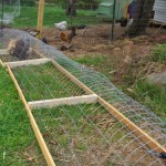 DIY-Chicken-Tunnel-1