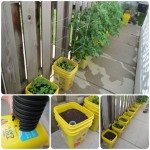 DIY Self-Watering Container Garden