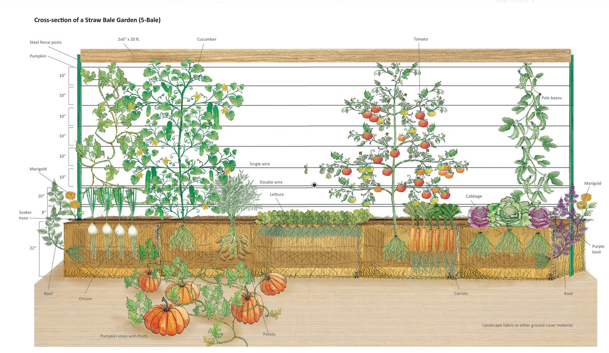 DIY Straw Bale Gardening-An Easy Way To Grow Plant