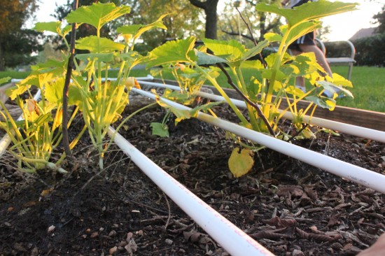 DIY PVC Garden Irrigation System