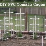 PVC Tomato Cages