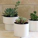 Planters-for-Succulents