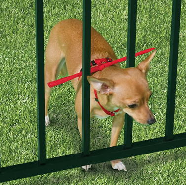 The Escape Preventing Dog Harness