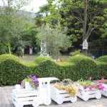 DIY Train Planters Out Of Old Crates to Adorn Your Garden