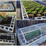 How to Build A Raised Bed Garden Out Of Cinder Blocks