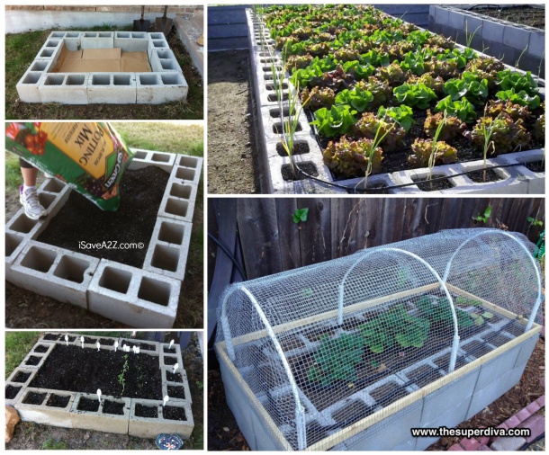 How to Build A Raised Bed Garden Out Of Cinder Blocks