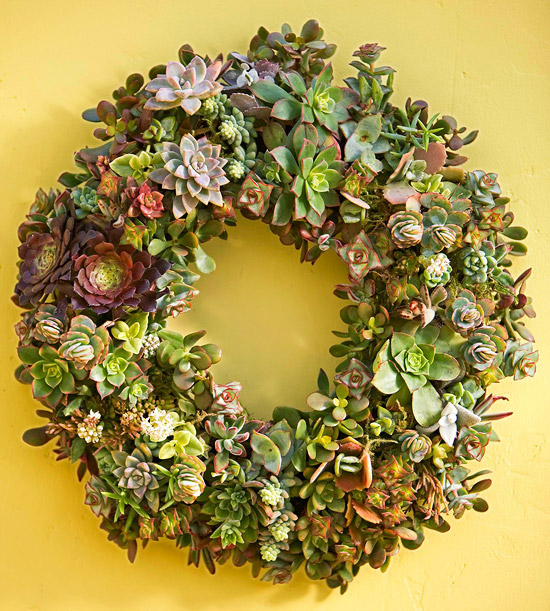 How to Make a Living Succulent Wreath #Succulent #Wreath