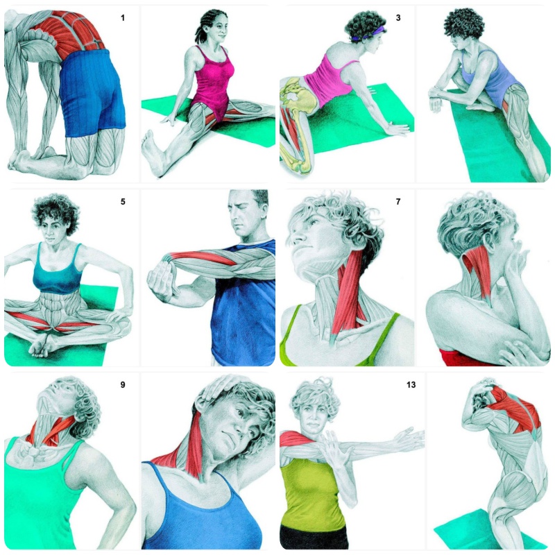 34 Pictures To See Which Muscle You Are Stretching