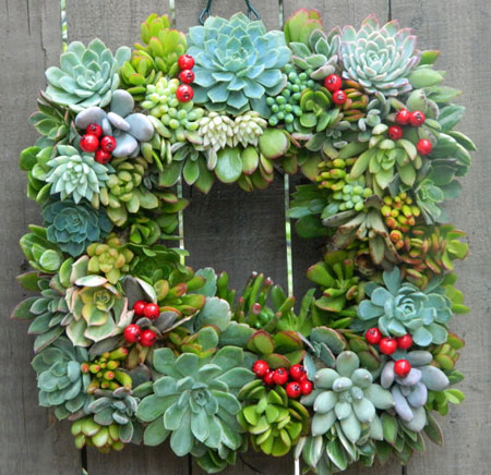 How to Make a Living Succulent Wreath #Succulent #Wreath