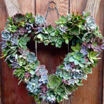 How to Make a Succulent Wreath