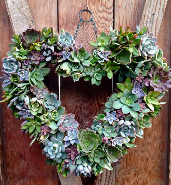 How to Make a Living Succulent Wreath #Succulent #Wreath #Heart