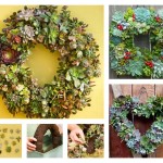 How to Make a Succulent Wreath