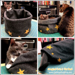 Adorable DIY Pet Bed Ideas-DIY Magical 3-in-1 Cat Bed