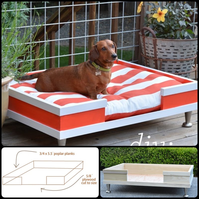 20+ Adorable DIY Pet Bed Ideas-DIY Modern Pet Bed