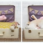 Adorable DIY Pet Bed Ideas-DIY Suitcase Dog Bed