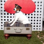 Adorable DIY Pet Bed Ideas-DIY Vintage Suitcase Pet Bed