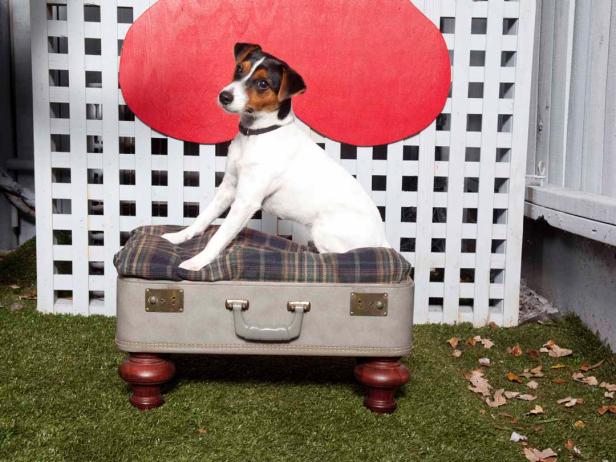 20+ Adorable DIY Pet Bed Ideas-DIY Vintage Suitcase Pet Bed