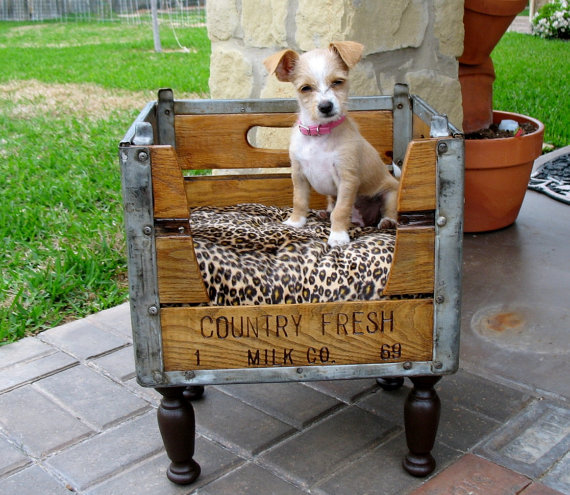 20+ Adorable DIY Pet Bed Ideas-Pet beds from upcycled crates