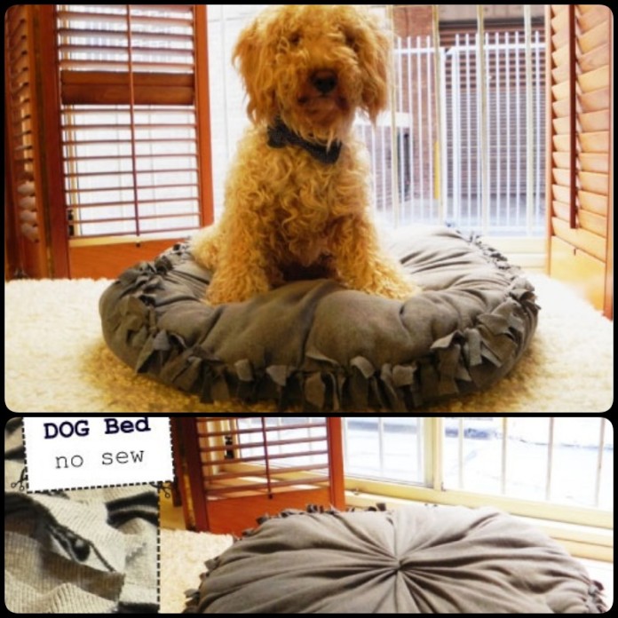 View of Adorable DIY Pet Bed Ideas-Turn Old Furniture Into New Pet Beds - Cool ...